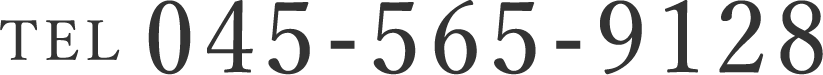 tel:045-565-9128